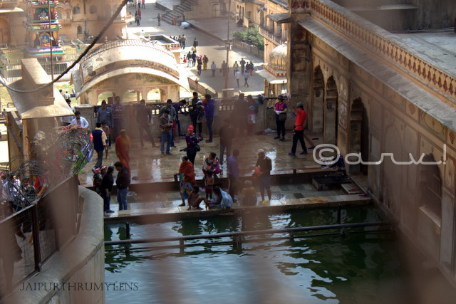 galtaji-kund-jaipur-monkey-temple-makar-sakranti