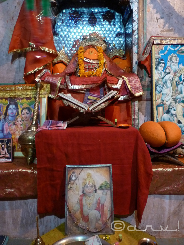 lord-hanuman-monkey-temple-jaipur-galta-ji