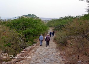 jaipur-morning-walk-benefits-friends-nature