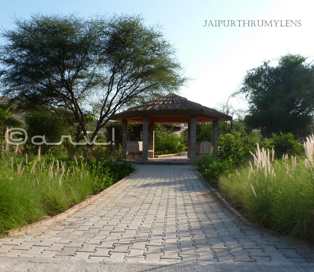 landscaping-resting-hut-toilet-nahargarh-zoological-biological-park-jaipur