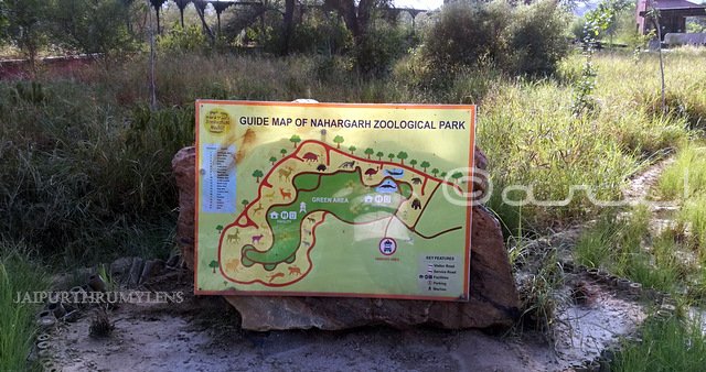 map-nahargarh-zoological-biological-park-jaipur