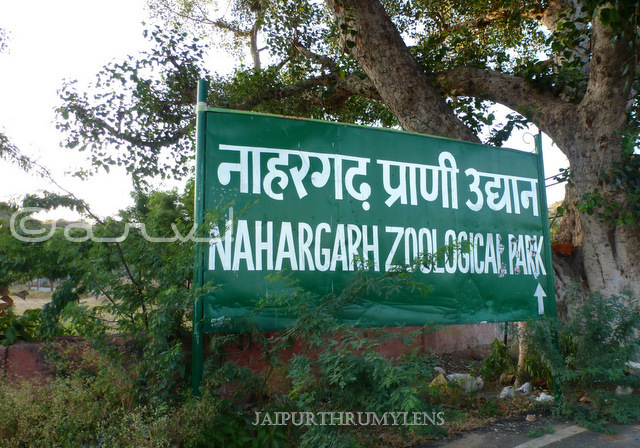 nahargarh-zoological-biological-park-jaipur-kukas-sign-board-photo