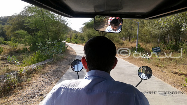 reaching-nahargarh-zoological-biological-park-jaipur-e-rickshaw-ride-photo