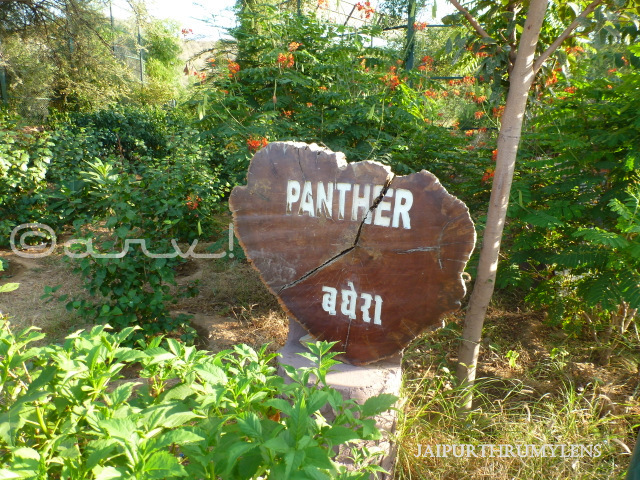 sign-board-panther-nahargarh-zoological-biological-park-jaipur-zoo