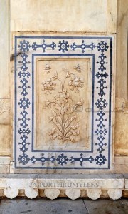 sheesh-mahal-magic-flower-amer-jaipur-photo-blog