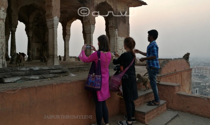 tourists-jaipur-monkey-temple-galtaji-enroute-photo