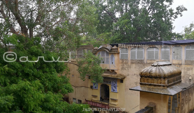 anand-bihari-mandir-jaipur