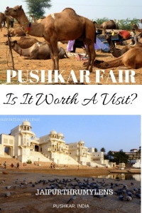 Travel Guide to pushkar fair in Rajasthan India #travel #guide #Pushkar #PushkarFair