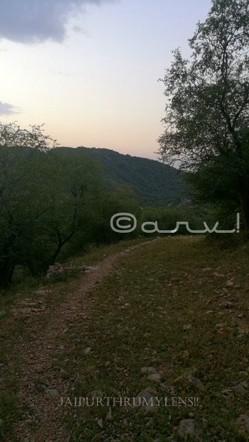 trekking-route-in-jaipur-forest-aravali-hills