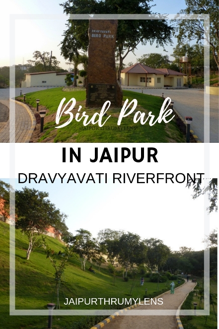 bird-park-jaipur-dravyavati-river-front #jaipur #park #travel