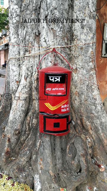 india-post-letter-box-in-jaipur-on-peepal-tree