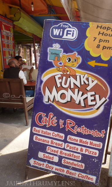 funky-monkey-cafe-pushkar-tripadvisor-photo