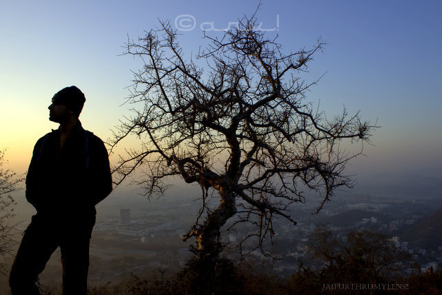 man-and-tree- silhouette-jaipur-sunrise-skywatch