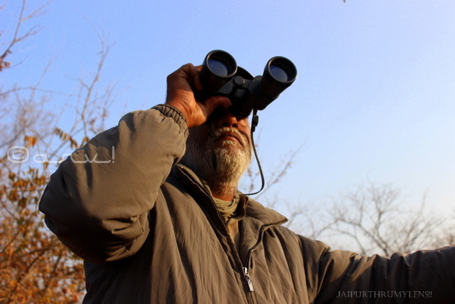 guide-tiger-safari-ranthamore-national-park