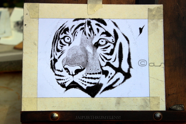 hand-sketch-bengal-tiger-artist-india