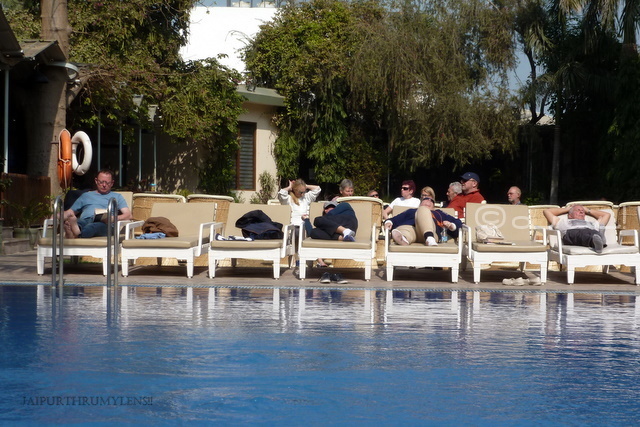 hotel-ranthambore-regency-travel-blog
