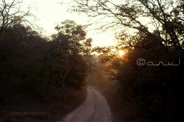 ranthambore-national-park-weather
