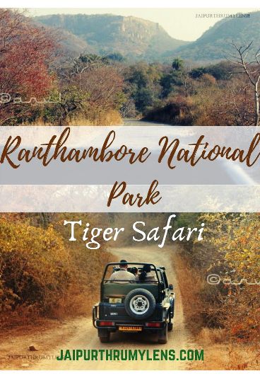 ranthambore-wildlife-park-tiger-safari-travel-blog-jaipurthrumylens