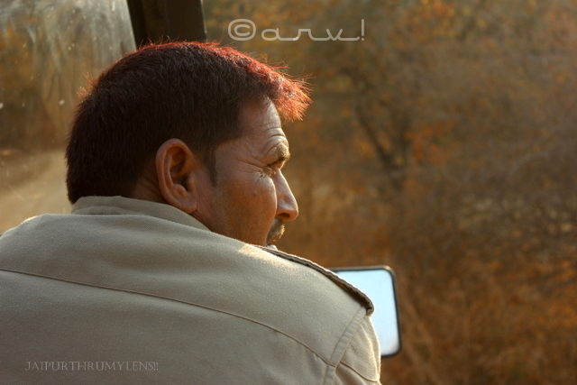 ranthamore-national-park-safari-booking