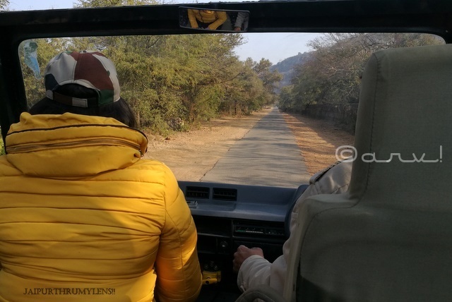 ranthamore-national-park-travel-blog