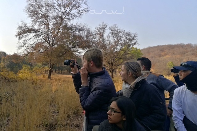 ranthamore-national-park-travel-guide