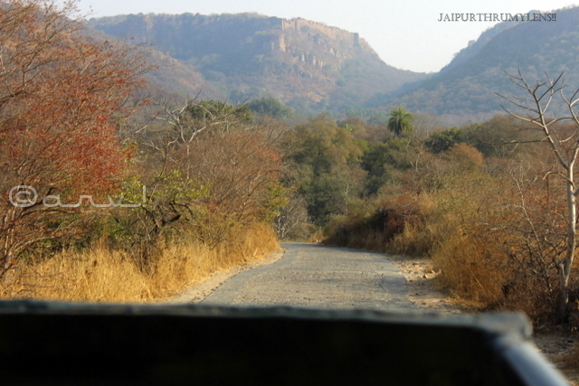 road-trip-to-ranthambore-fort-rajasthan-from-jaipur