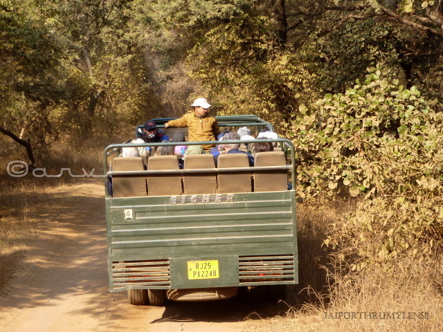 safari-booking-ranthambore-nationla-park