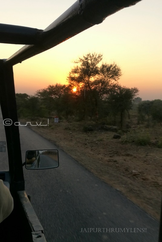 sunset-in-ranthamore-national-park-rajasthan
