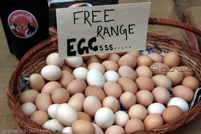 free-range-eggs-india-jaipur-farmers-market