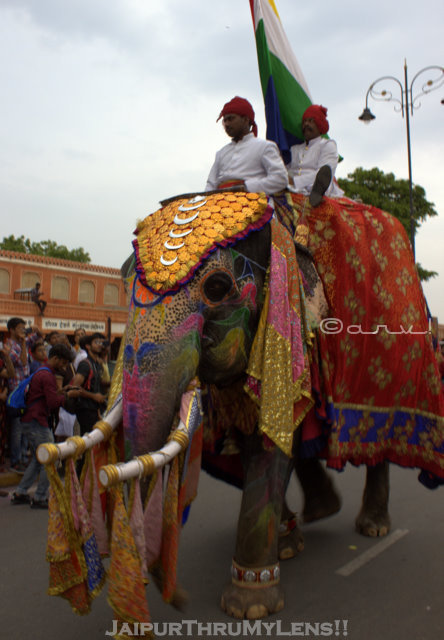 elephant-jaipur-teej-festival
