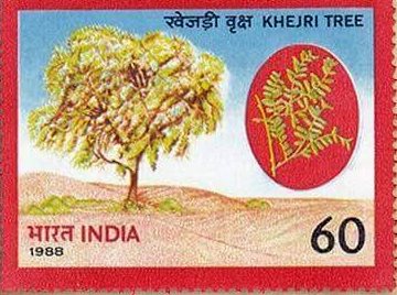 khejri-tree-stamp-india-prosopis-cineraria
