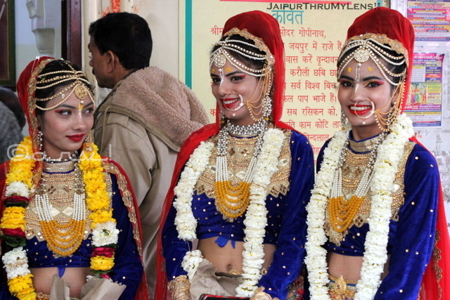 govind-devji-temple-jaipur-holi-celebration-color-festival