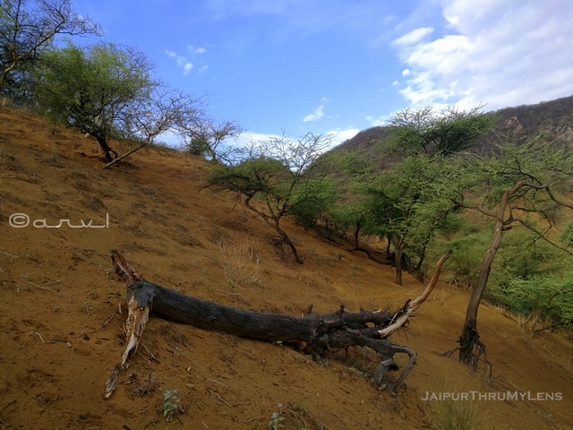 Hiking in Jaipur – JaipurThruMyLens