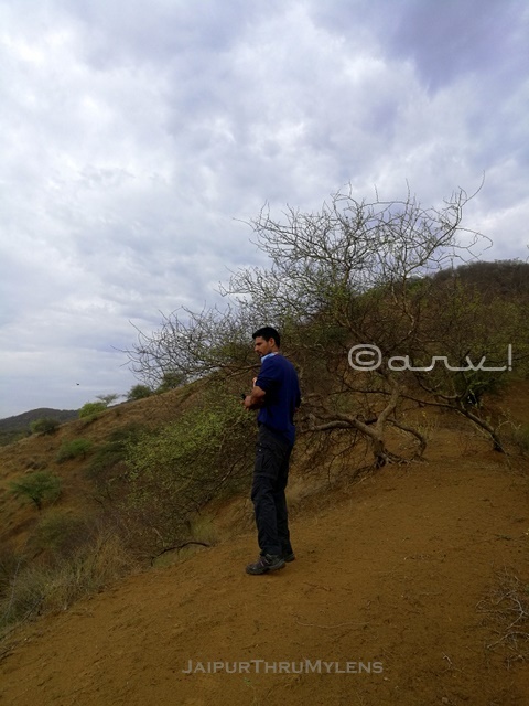 jaipur-trekking-club-aravali-hike