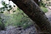 jaipur-trekking-club-hiking-places