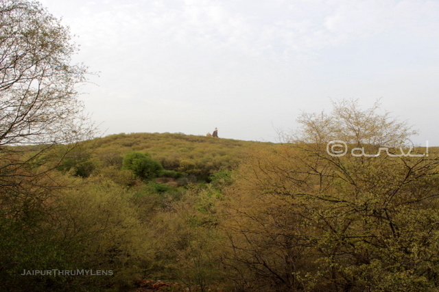jaipur-trekking-route-charan-mandir