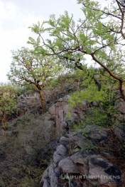trekking-places-rajasthan-hathuni-kund-jaipur-aravali-hills