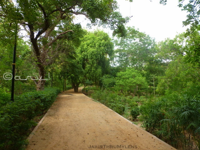 best-park-in-jaipur-sawan-bhado-ramniwas-garden