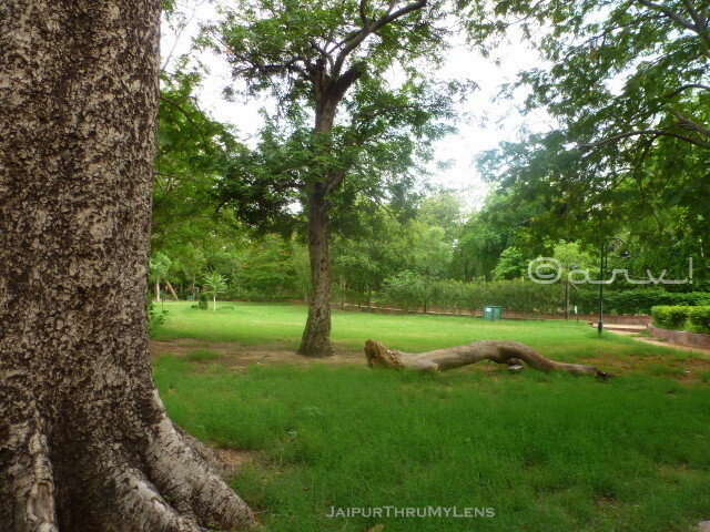 garden-near-me-jaipur-ramniwas-bagh-sawan-bhado