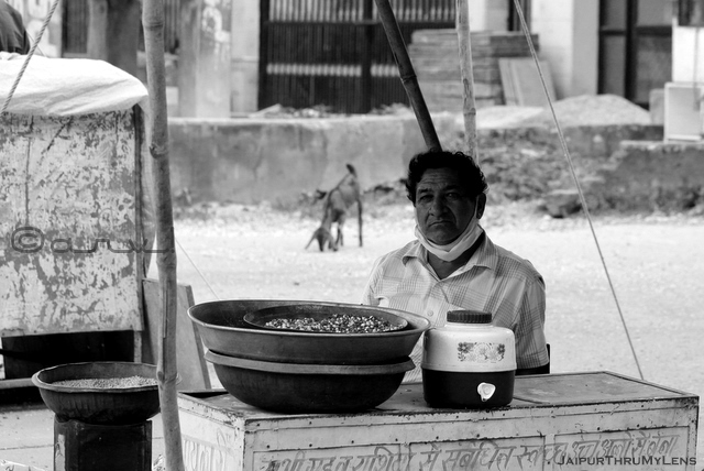 pigeon-grain-food-seller-jaipur-india-street-photo