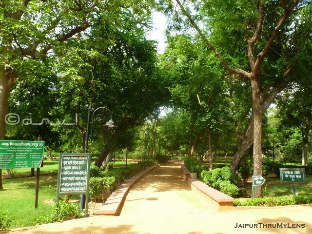 ram-niwas-bagh-jaipur-timings-sawan-bhado-park