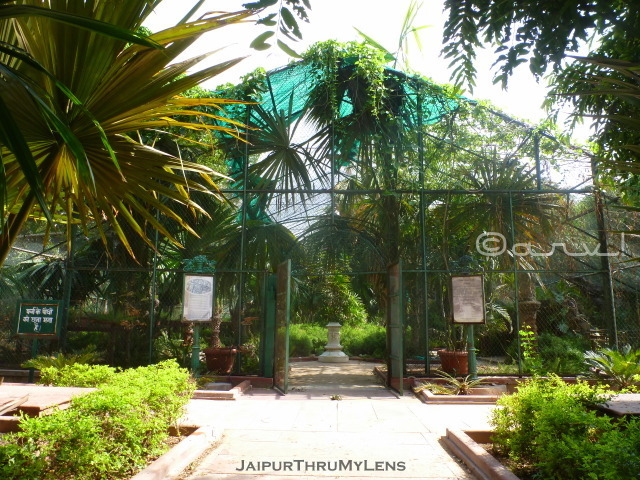 small-fern-garden-layout-ramniwas-bagh-sawan-bhado-park-jaipur