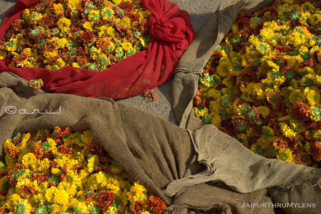 marigold-flower-varities-market-jaipur-india