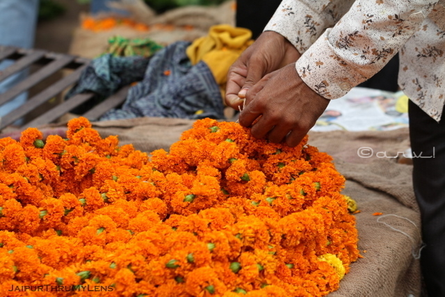 marigold-garland-flower-market-jaipur-india