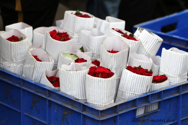 rose-flower-jaipur-market-photo