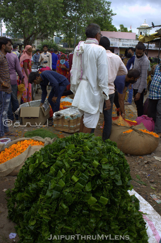 wholesale-flower-market-jaipur-india
