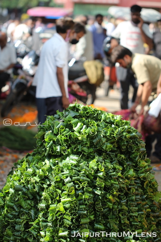 wholesale-flower-market-near-me-jaipur