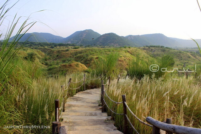 jaipur-offbeat-unexplored-places-kishanbagh-park-pradip-krishen