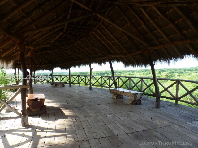 jungle-machan-thatched-roof-long-house-hut-kishan-bagh-jaipur