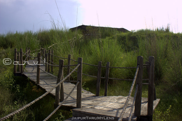 kishan-bagh-jaipur-board-walk-pradip-krishen-eco-tourism